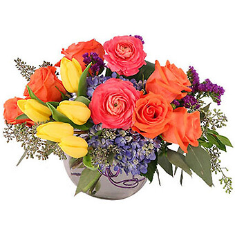 Vivid Splendor
